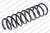 LESJ?FORS 4237251 Coil Spring